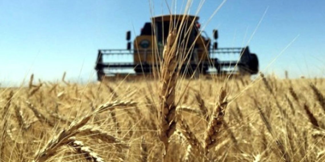 Çiftçilere 1,7 milyar liralık tarımsal destek ödemesi başladı