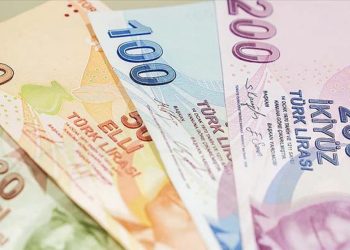 TL reel olarak sınırlı değer kaybetti