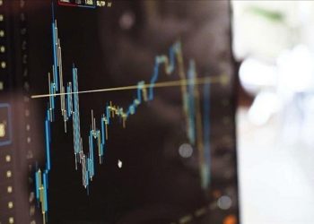 GSYF performans karnesi