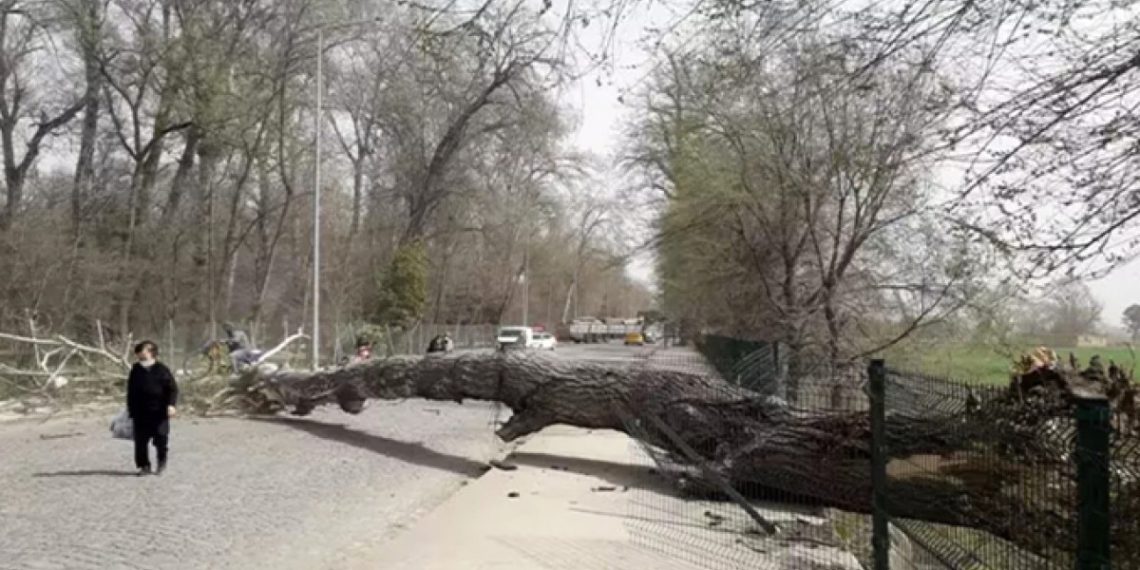 Meteoroloji uyardı: 90 km’yi bulacak fırtına